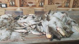 «الثروة السمكية»: مشروع عملاق للأقفاص البحرية في البحر المتوسط والأحمر«فيديو»