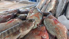 انخفاض أسعار الأسماك بالإسماعيلية.. يبدأ من 30 والجمبري بـ120 جنيهاً