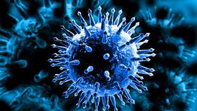 بريطانيا تشهد انتشارا واسعا لفيروس «نورو» شديد العدوى.. ماذا يحدث؟