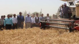 محافظ القليوبية يفتتح موسم حصاد القمح بـ«زراعة مشتهر»: توريد 70 ألف طن (فيديو)