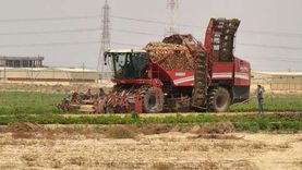 قيادات عمالية: «مستقبل مصر» يوفر عشرات الآلاف من فرص العمل