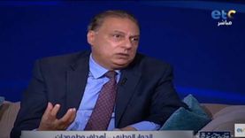 أستاذ علوم سياسية: مصر تواجه تحديات تحتاج إلى اصطفاف وطني