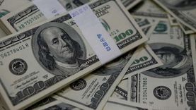 لماذا تتخوف الشركات الأمريكية من ارتفاع الدولار؟.. «فيتش» تكشف السبب