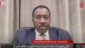 «العدل والمساواة»: ميليشيا الدعم السريع تسببت في أزمة إنسانية بالسودان