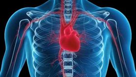 7 أسباب لتسارع ضربات القلب.. منها نشاط الغدة الدرقية والأنيميا