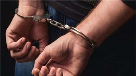 القبض على لبناني هارب من «250 سنة سجن» في المنوفية