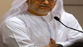 مستشار رئيس الإمارات: سنمارس حقنا في الدفاع عن أنفسنا ضد الحوثيين