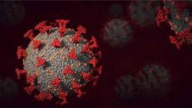 الصحة تعلن تسجيل 1603 حالات إيجابية جديدة بفيروس كورونا.. و38 وفاة