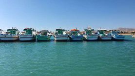 جنوب سيناء تحقق رقما قياسيا في إنتاح الأسماك المدعمة لعام 2021
