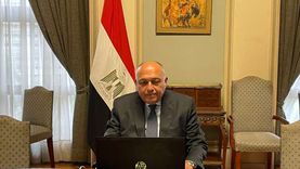 وزير الخارجية يتوجه إلى عُمان لترؤس الجانب المصري في اللجنة المشتركة