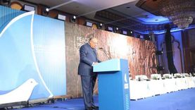محمد عبدالحكم: مصر استعادت دورها المؤثر والفعال دوليا خلال 8 سنوات