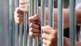 حبس 9 أشخاص بتهمة الاتجار في المخدرات بالقليوبية