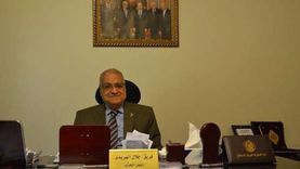«حماة الوطن»: كلمة الرئيس في ذكرى تحرير سيناء تتويج للجهود المضنية لتعمير أرض الفيروز