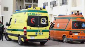 بالأسماء.. إصابة 6 أشخاص في حادث تصادم توكتوك مع تروسيكل بكفر الشيخ