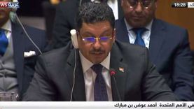 وزير خارجية اليمن يشيد بموقف القاهرة الرافض للتدخل في شؤون العرب