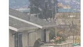 مسلح يفتح النار على الشرطة من شرفة منزله غربي «كاليفورنيا» الأمريكية