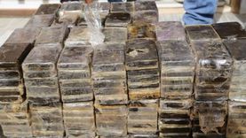 ضبط 3 عناصر إجرامية في شمال سيناء بحوزتهم مخدرات بـ12 مليون جنيه
