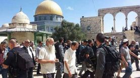 قرار الاحتلال بالصلاة اليهودية في الأقصى يثير الغضب.. ومفتي القدس يرد