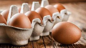أسعار البيض في الأسواق اليوم السبت 1-6-2024