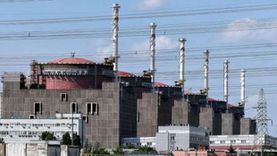 الوكالة الدولية للطاقة الذرية تدعو لوقف القتال قرب محطة أوكرانية