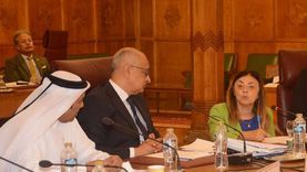 «القومي للإعاقة» يستعرض جهود مصر لتمكين ذوي الهمم في لجنة الميثاق العربي