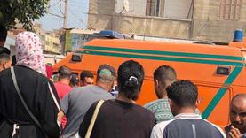 مصرع عامل سبعيني سقط من أعلى نخلة في دار السلام بسوهاج