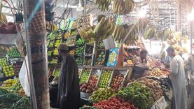 نائب رئيس شعبة الخضر: الأسعار في مصر من أرخص الدول «حوار»