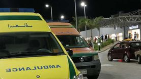 إصابة 4 أشخاص في حادثين بالإسماعيلية.. بينهم عاملان سقطا من «سقالة»