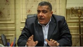 رئيس «صناعة النواب»: مشروع «مستقبل مصر» فريد ويحقق الأمن الغذائي للوطن