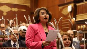 أمين سر «حقوق إنسان الشيوخ»: مصر رمانة ميزان الشرق الأوسط