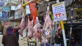 أسعار اللحوم في منافذ الزراعة بالمنوفية.. «على قد الإيد»