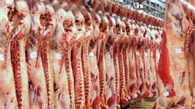 بشرى من «زراعة الشيوخ» قبل رمضان: انخفاض كبير في أسعار اللحوم والدواجن