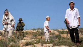 مستوطنون إسرائيليون يطلقون النار صوب مزارعين فلسطينيين بطولكرم