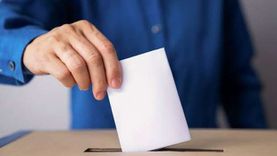 القوائم النهائية لمرشحي انتخابات التجديد النصفي بـ«أسنان كفر الشيخ»
