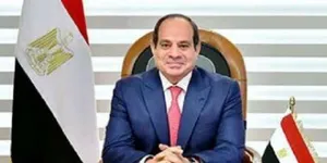 الرئيس السيسي يُصدق على منحة أوروبية لمصر لمواجهة اضطرابات سوق القمح -  أخبار مصر - الوطن