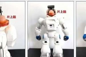 ابتكار روبوت صيني «يعمل بدماغ بشري»