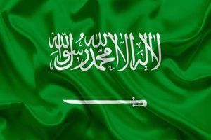 السعودية تعلن حالات إيقاف دعم ريف نهائيا