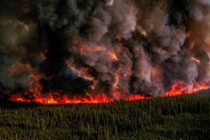 حرائق غابات كندا - أرشيفية