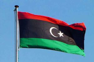 مصر تواصل سعيها لحل أزمة ليبيا.. وتركيا تلعب بالنار