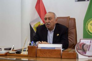 المهندس أحمد عثمان عضو مجلس النواب