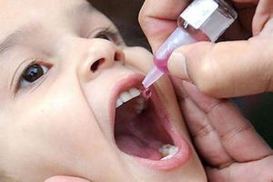 حملة تطعيم شلل الاطفال