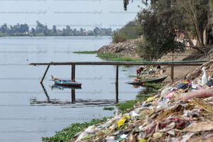 تلوث النيل