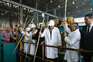 محافظ قنا يلقي عيدان القصب بمصنع السكر بنجع حمادي