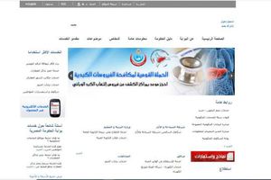 رابط موقع بوابة الحكومة المصرية - ارشيفية