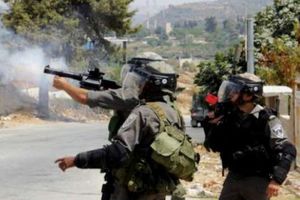 الاحتلال يحاصر بلدة تقوع جنوب شرق بيت لحم
