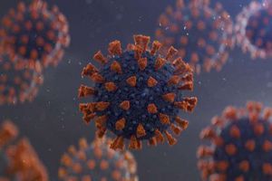 معلومات عن فيروس «H5N1» الجديد