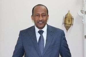 النائب ياسين عبد الصبور عربي عضو مجلس النواب