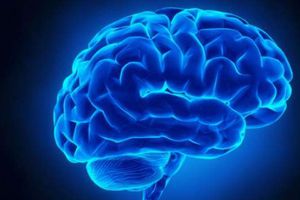 باحثون يكتشفون مركز الإحساس بالألم في الدماغ