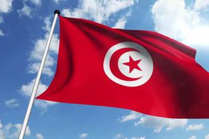 تونس تعلن تطبيق إجراءات المستوى الثالث لمكافحة انتشار فيروس "كورونا"