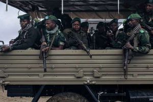 عناصر من القوات الأمنية في الكونغو الديمقراطية-صورة أرشيفية